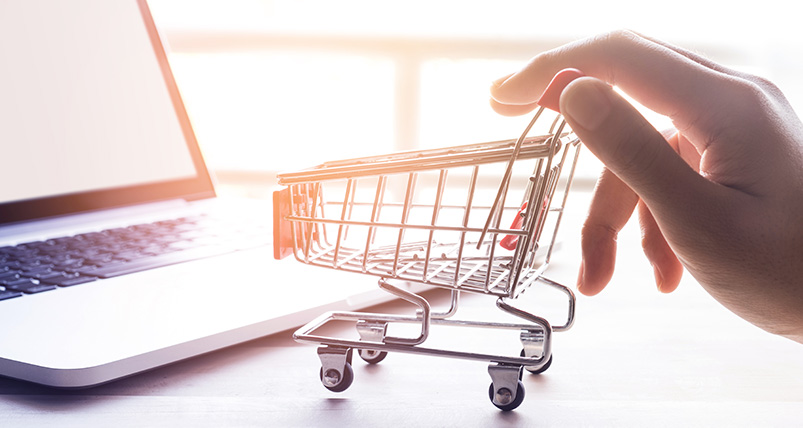 GeoMax E-Shop